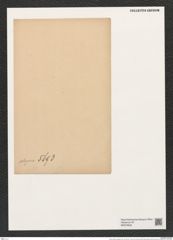 Asteromphalus elegans Grev. (de-Toni-Nr.: Genus 236, Species 5693) Zeichnungen Sammlung Grunow (NHMW-BOT-W0379630)